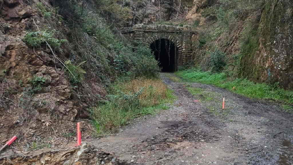 Abren dilixencias penais contra a Xunta da Galiza pola destrución do bosque do Banquete de Conxo