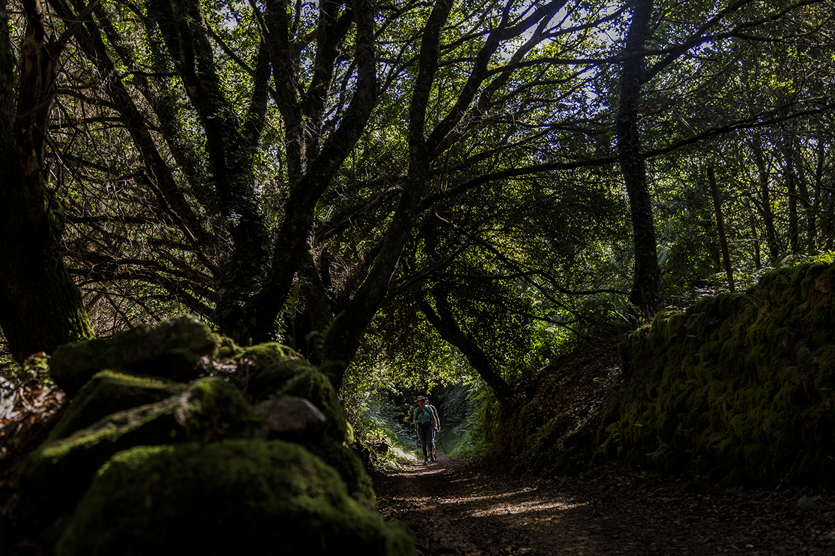 Fotografía das paisaxes do Miño e Os Ancares será premiada con 1.600 euros