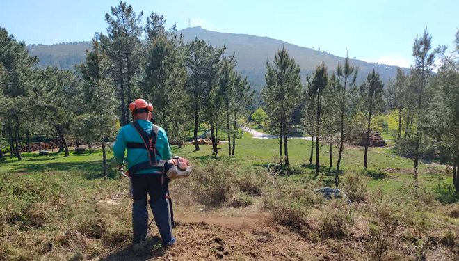 Convocadas as axudas para traballos de prevención en montes veciñais e agrupacións forestais