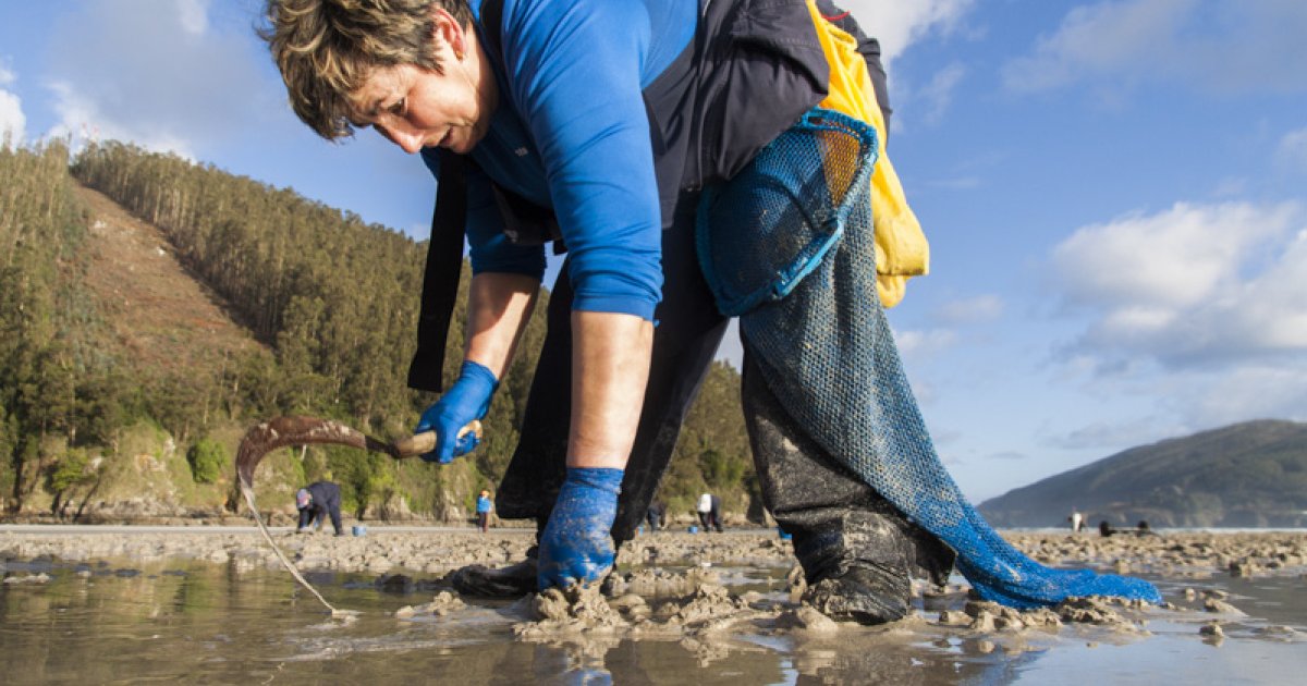 Agro e mar fan que Galicia lidere o peso do emprego feminino: xa é a metade do mercado laboral