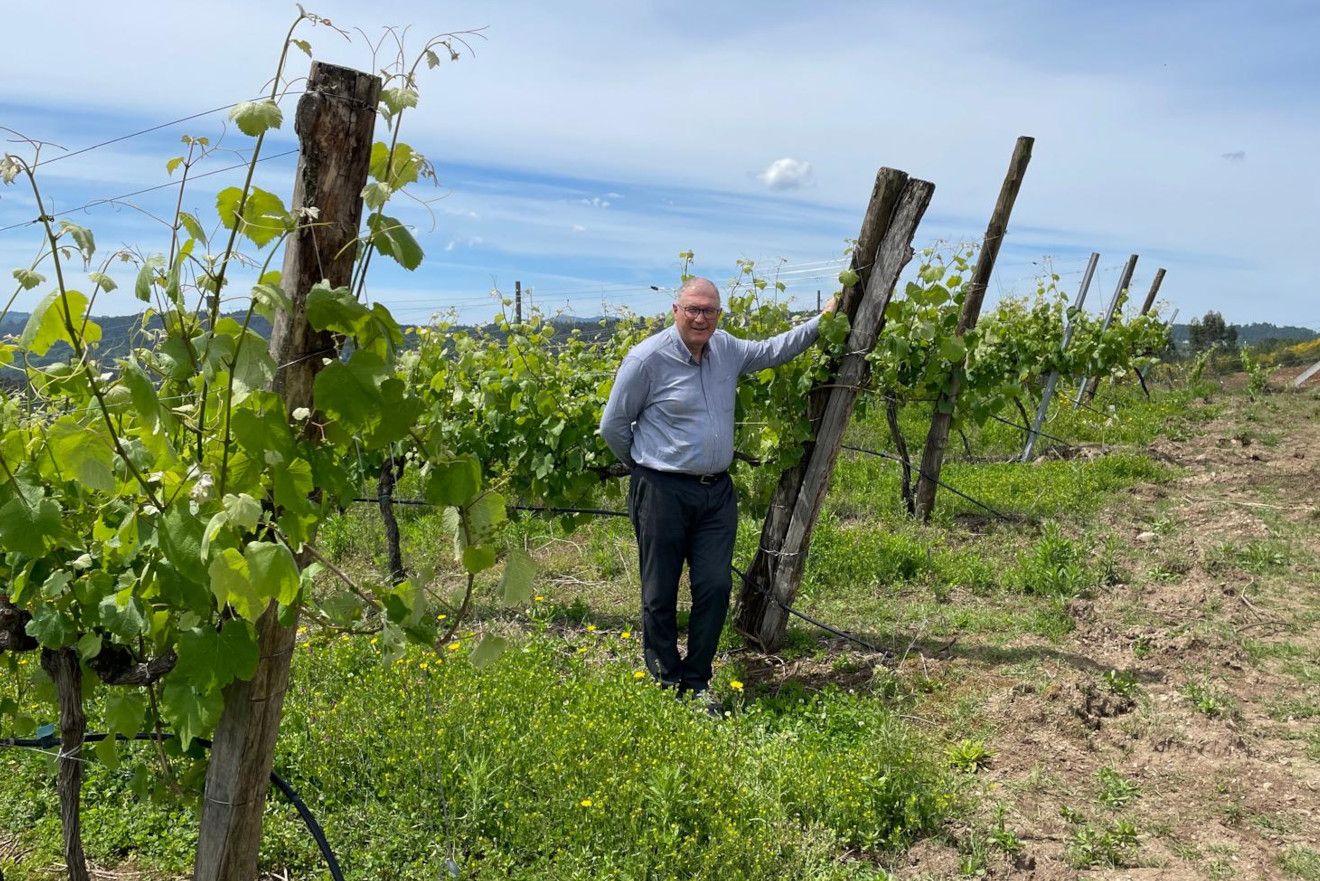 “Un terzo do viño galego está vencellado a proxectos cooperativos e cremos que irá a máis”