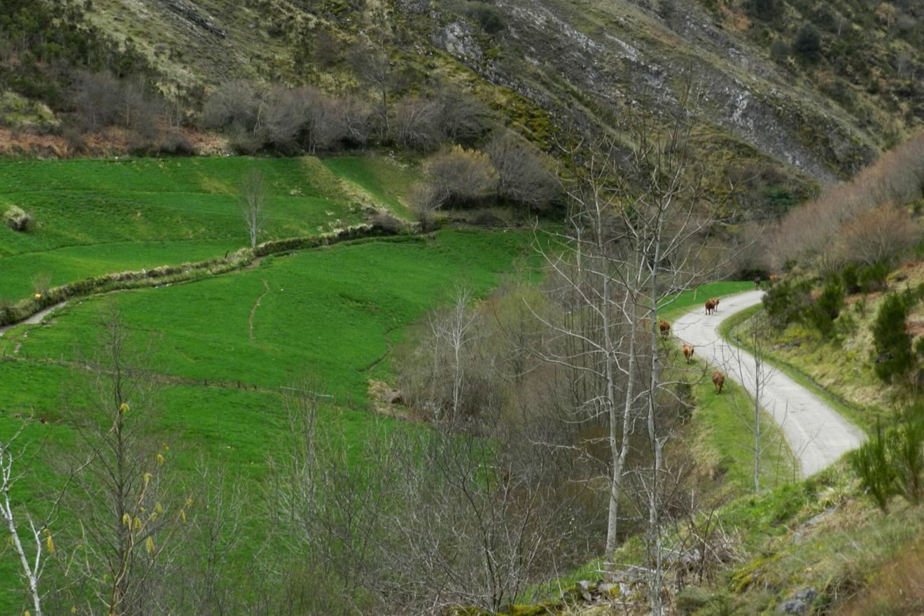 Xornada sobre “os lameiros de montaña”, un tesouro natural de Galicia para aumentar a produción de pasto