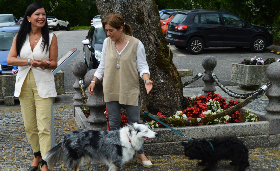 Mos lanza una campaña para fomentar la adopción y la tenencia responsable de animales de compañía