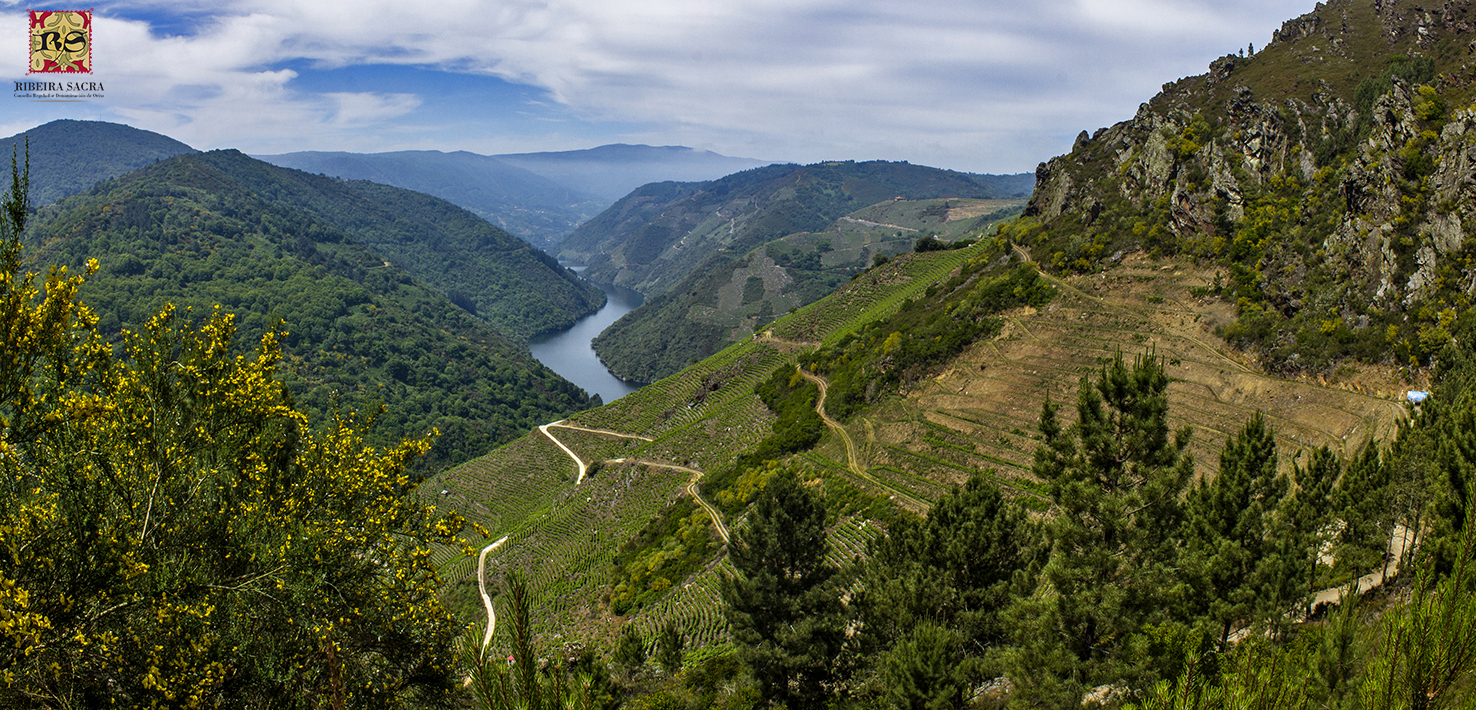 Consultores da Unesco visitarán en outubro a Ribeira Sacra no tramo final da candidatura a Patrimonio Mundial