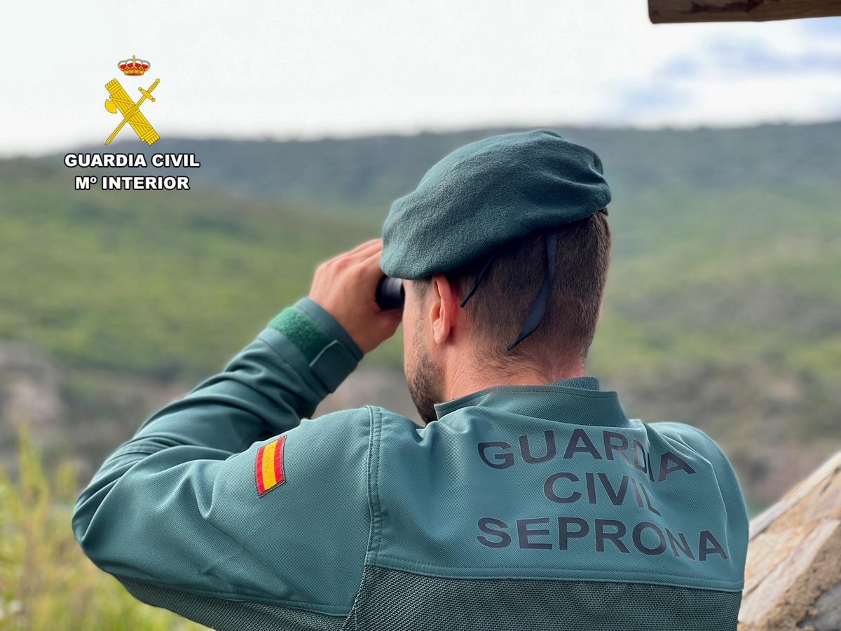 Labores de roza manual están detrás dun incendio rexistrado en xullo no Concello de Cea