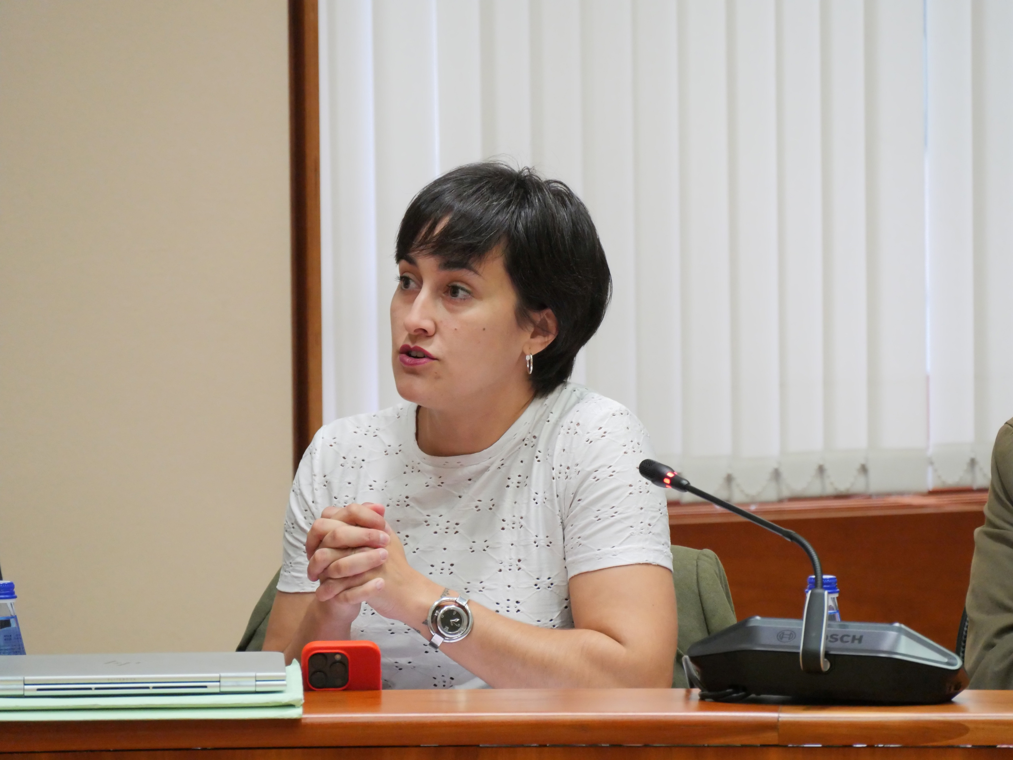 O BNG acusa de "neglixencia" á Xunta ante a proliferación de novos casos de lingua azul no gando