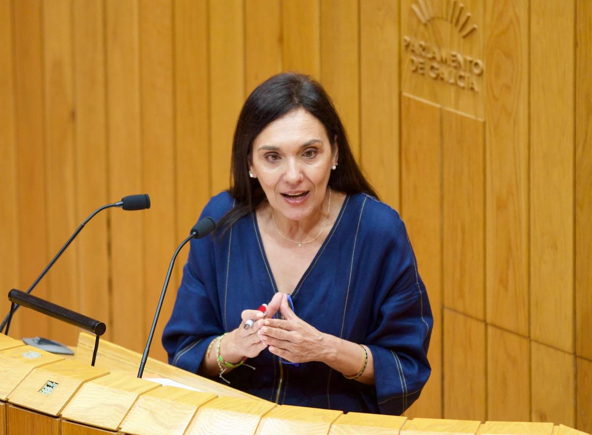 O PSdeG acusa á conselleira de Medio Rural de frivolidade durante os incendios