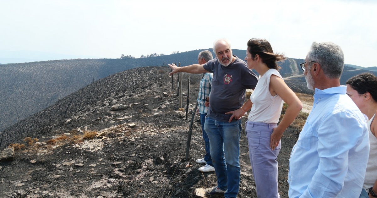 Pontón pide a dimisión de Rueda como "máximo responsable da incompetencia" na vaga de incendios