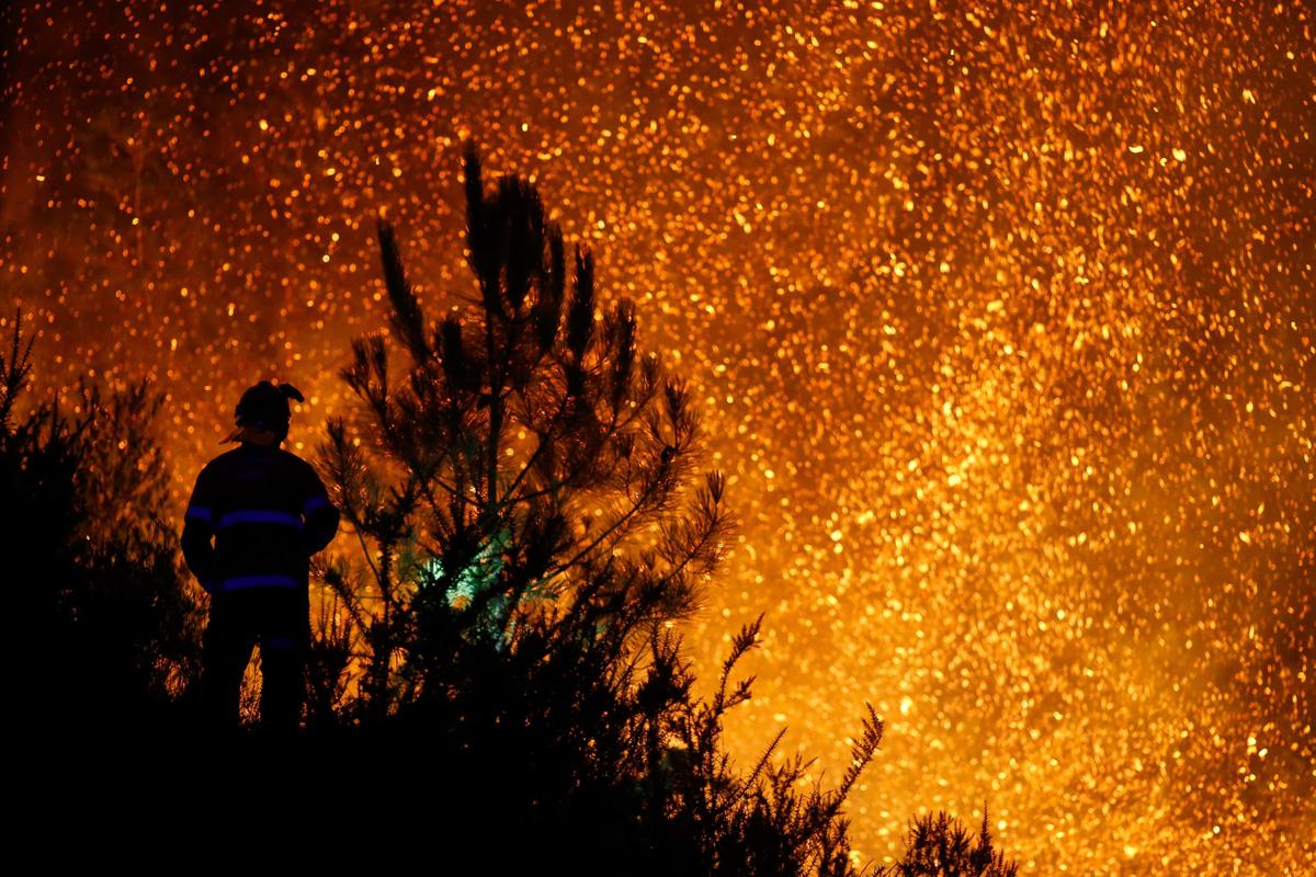 Do terroir ao terror (1)