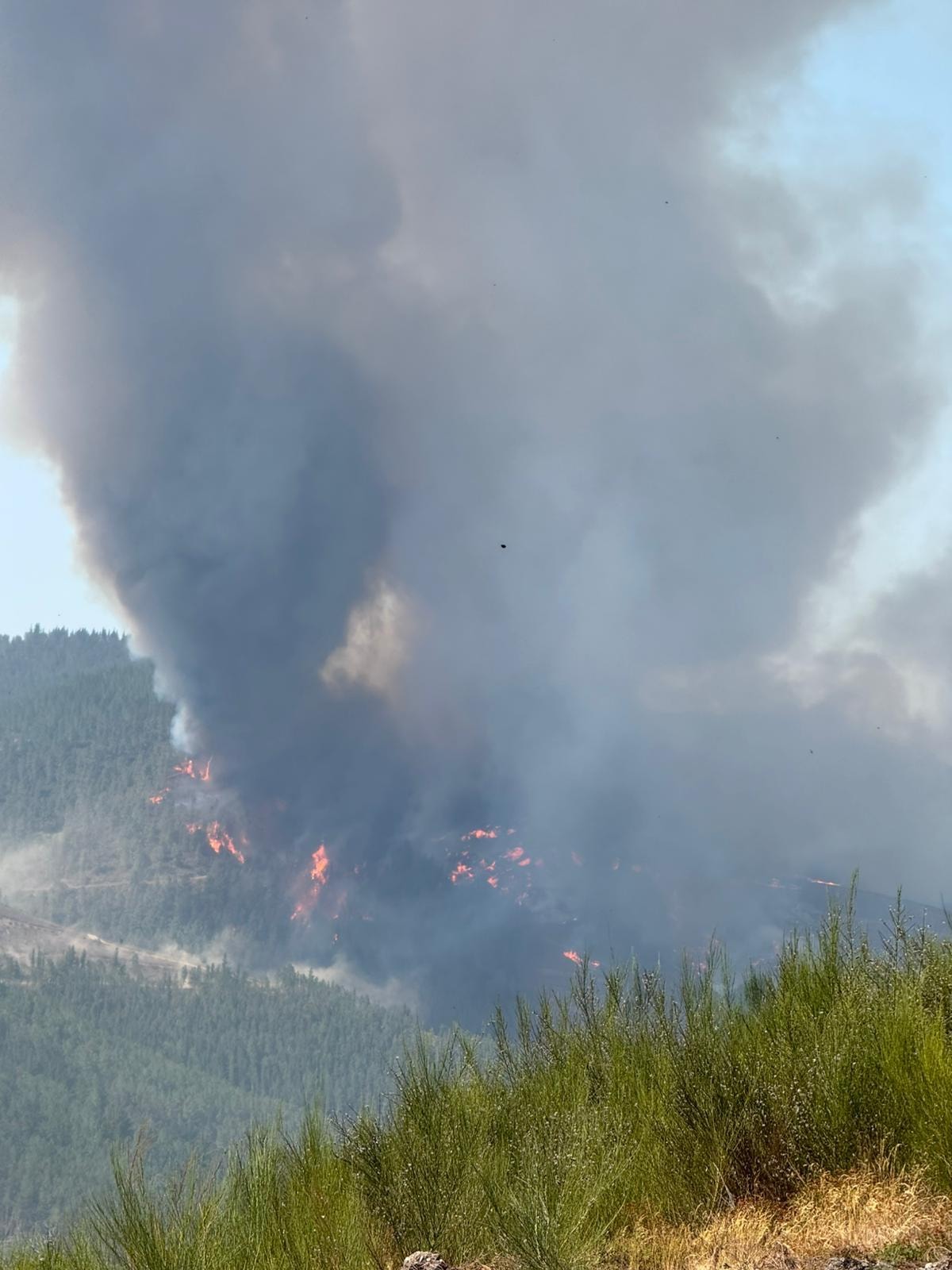 Do terroir ao terror (1)