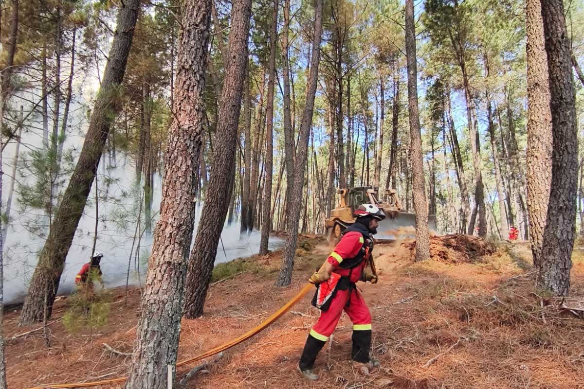 A cadea forestal comprométese a manter os prezos da madeira queimada