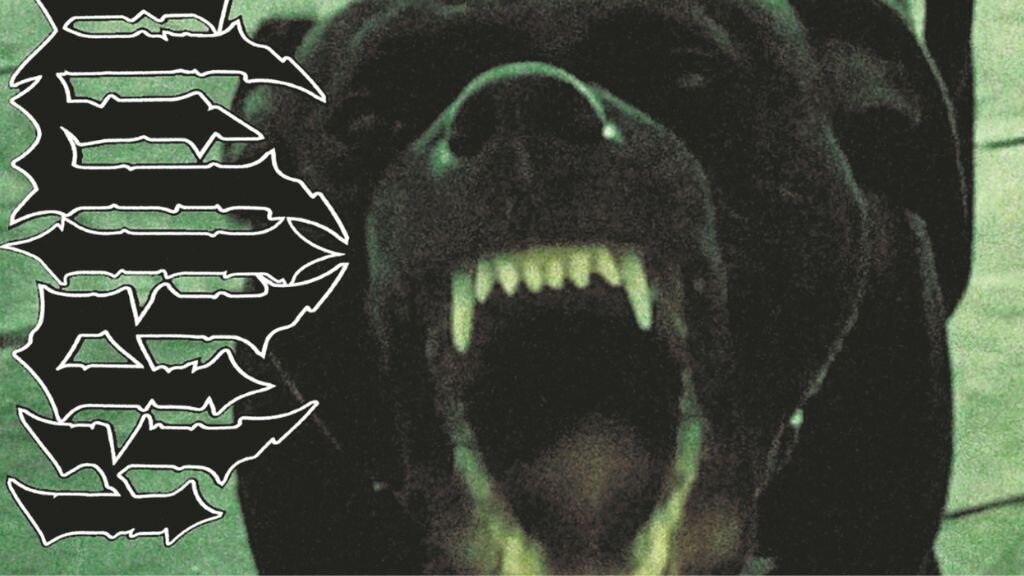 Por sempre rexeitados