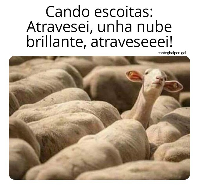 E sempre ser&aacute; as&iacute;
