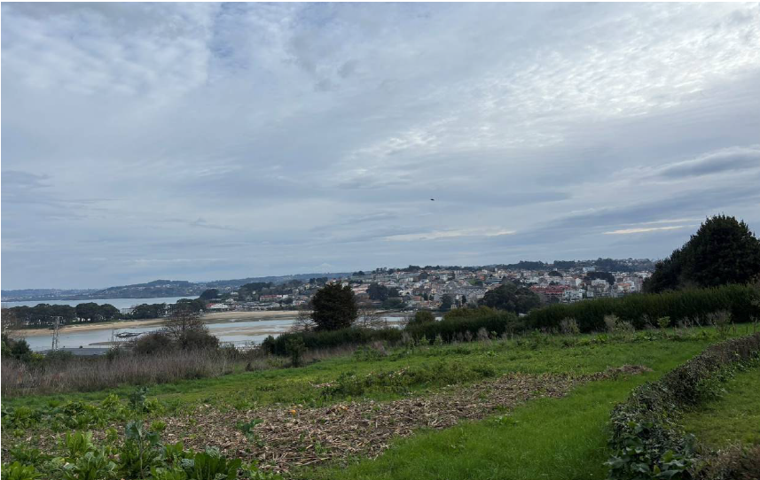 Unha nova macrourbanización na Coruña pode poñer en risco hábitas de aves e o anel verde da cidade