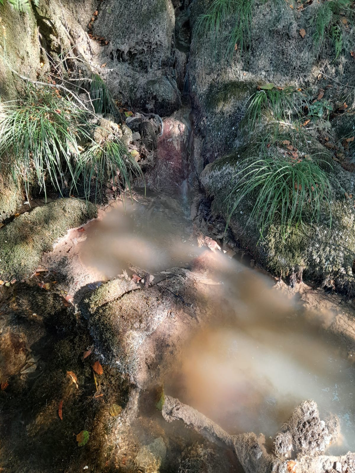 Alarma por contaminación constante no río Oitavén: verteduras de augas residuais e potencial perigo para a saúde