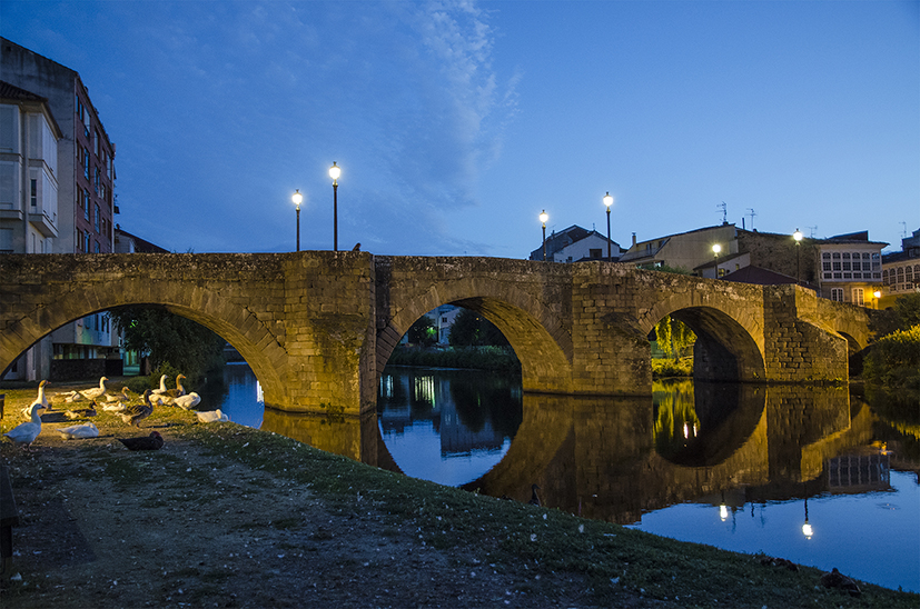 Conferencia sobre a relevancia de Lemos na Idade Media