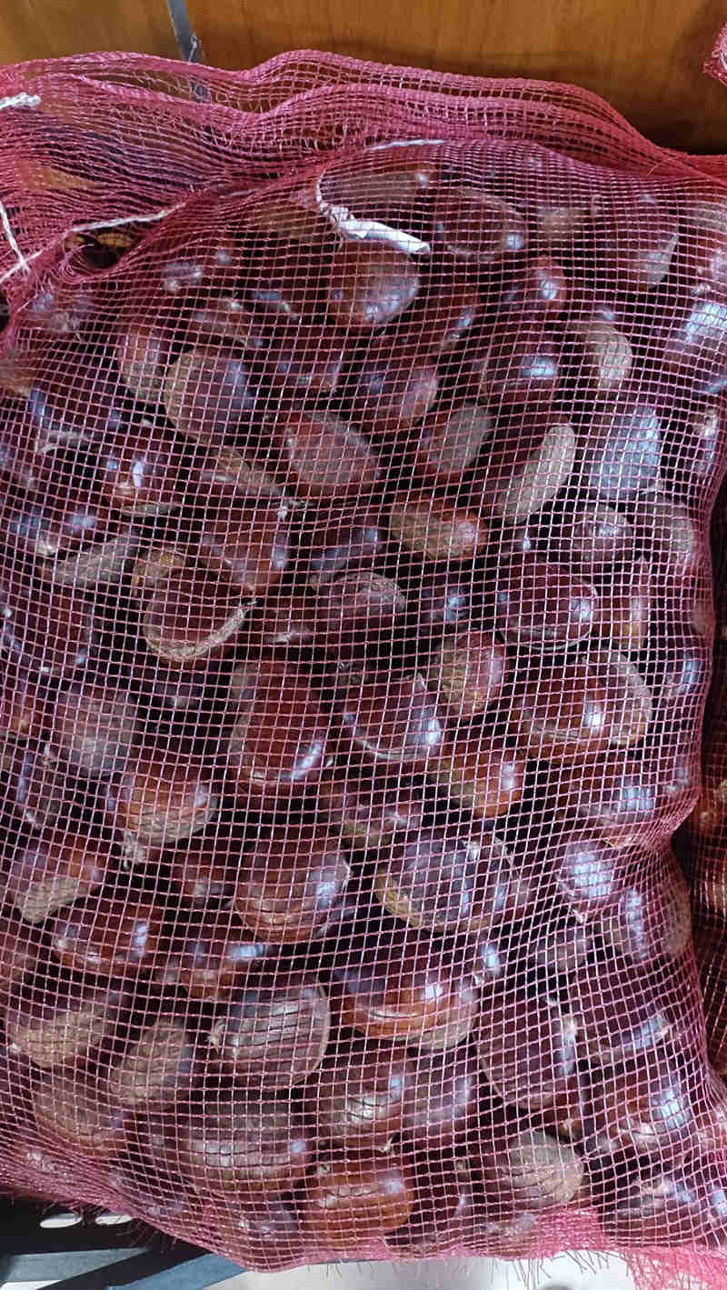 Boiro celebra este sábado un gran magosto comunitario no Centro Social, organizado pola Cruz Vermella