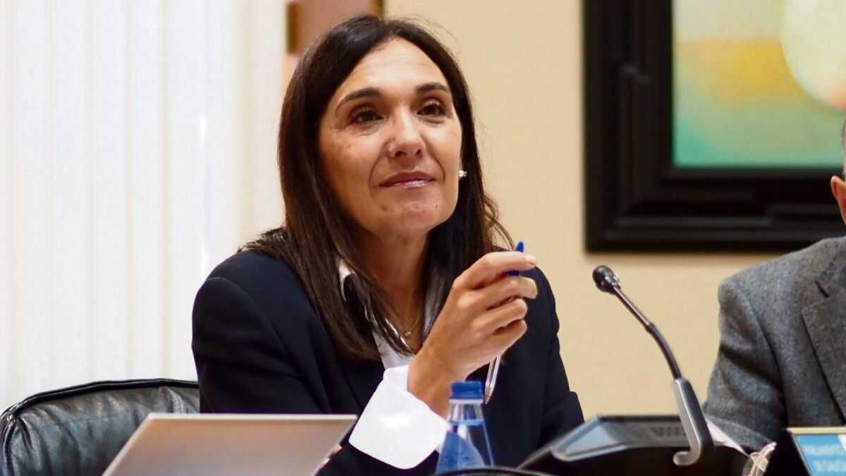 O PSdeG acusa a Xunta de "volver atrasar" a aprobación do Pladiga