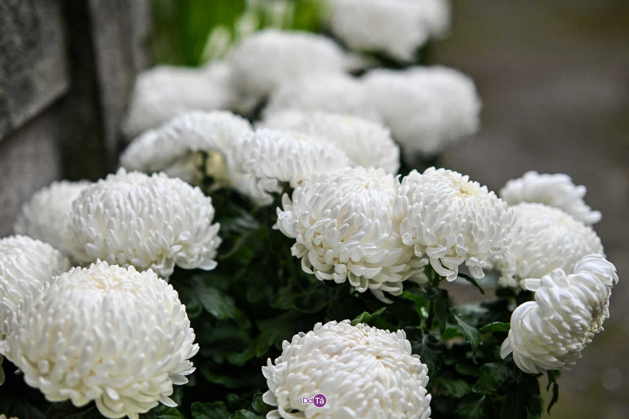 ESQUELAS VERÍN | Hortensia Rodríguez Rodríguez