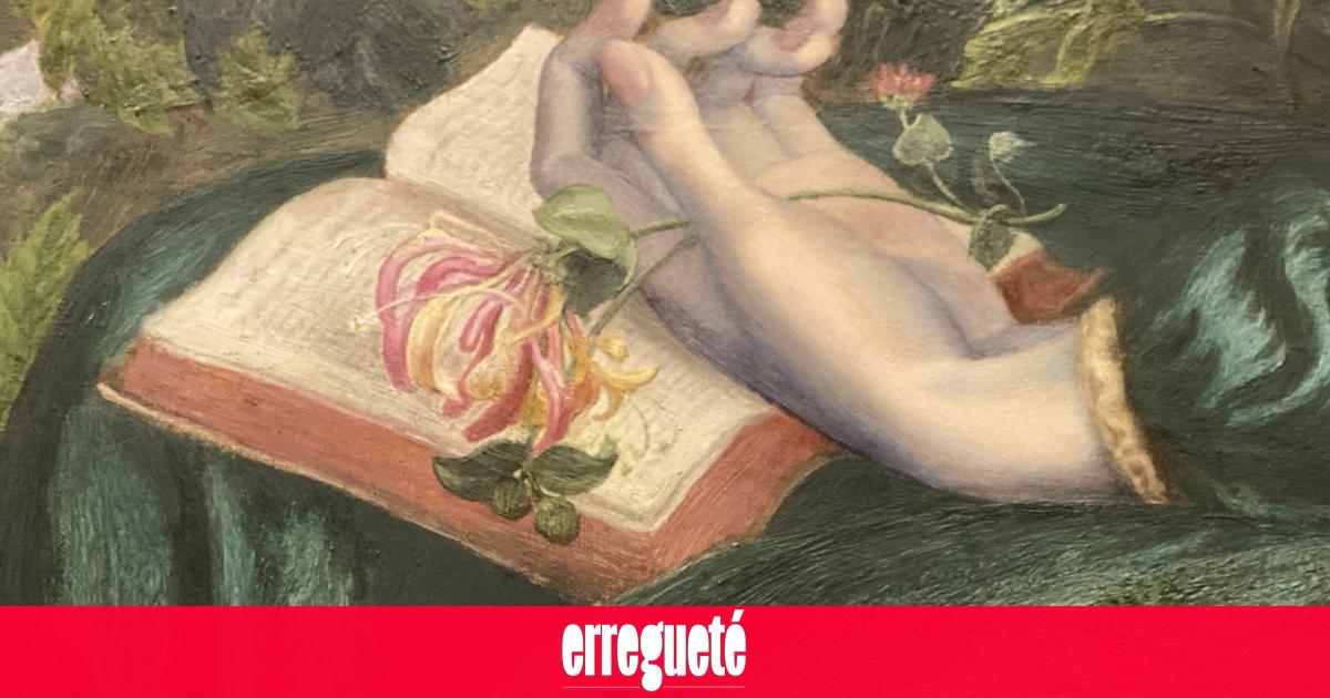 Ábrese o pano e ábrese un libro