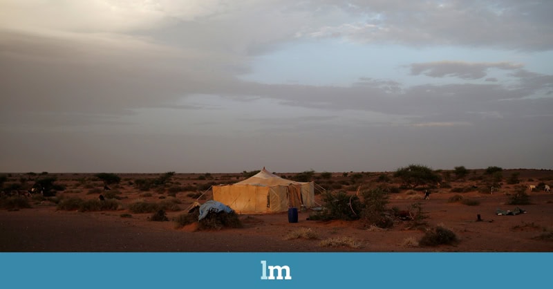 La cultura, otro campo de batalla en la ocupación del Sáhara