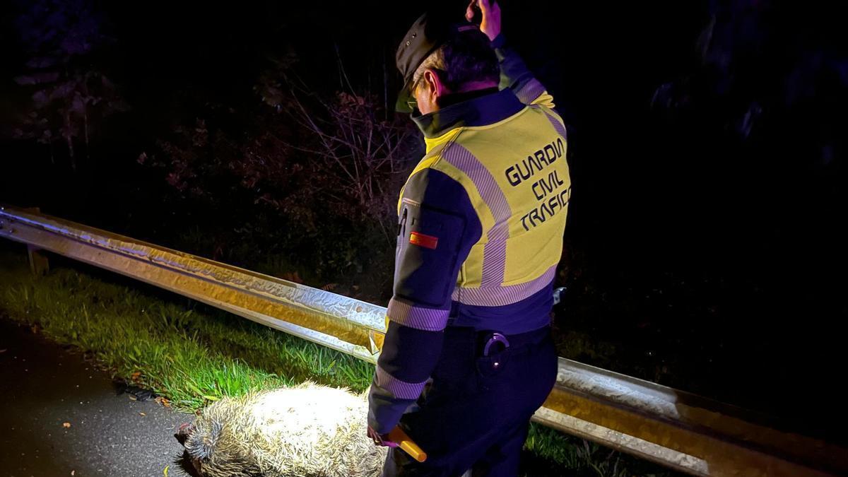 Os axentes con experiencia operativa na estrada aconsellan frear e evitar os volantazos