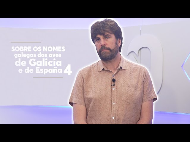 Sobre os ‘Nomes galegos das aves de Galicia e de España’ e uma proposta IV